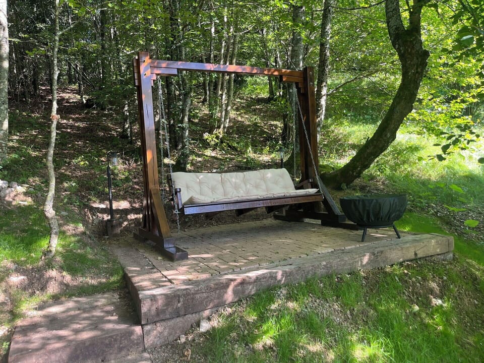 Wood, Trunk, Forest, Swing, Outdoor Furniture, Woody Plant, Jungle, Woodland, Garden, Shade