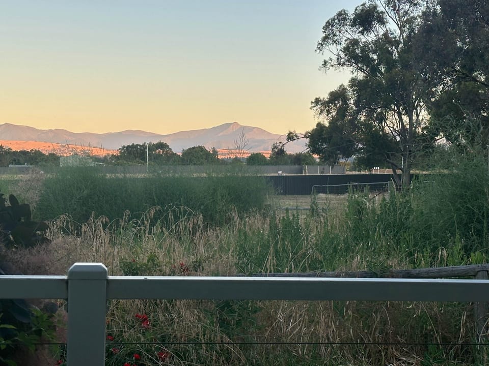 Mt Buller from back deck