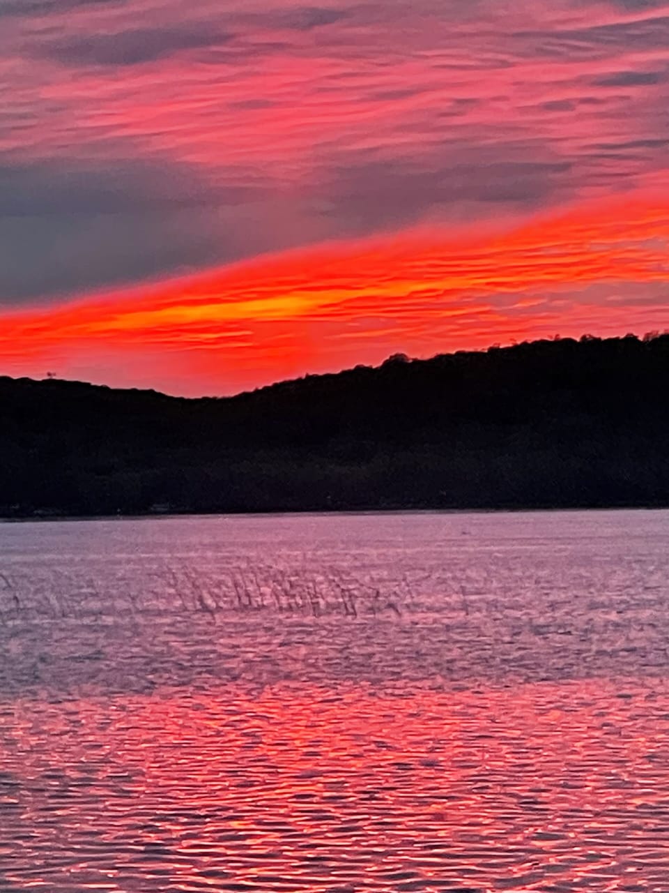 Taken from the dock
