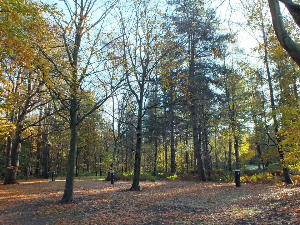 Miscellaneous