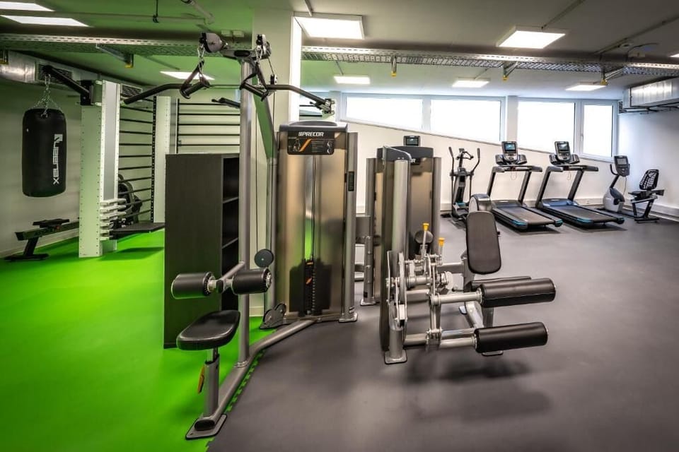 Keep your routine steady with bright cardio equipment rows.