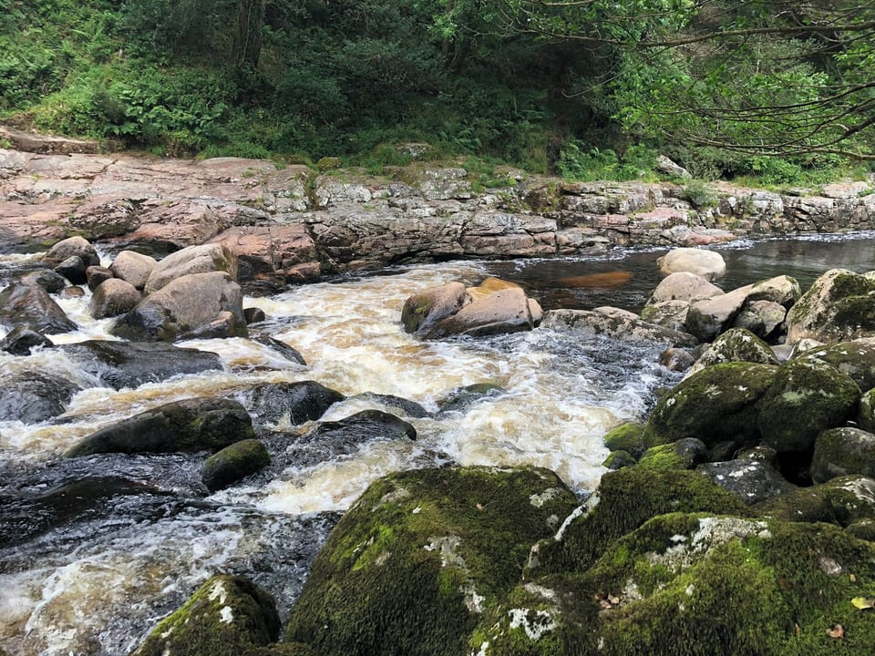 Surrounding area | Minnewater, Bovey Tracey