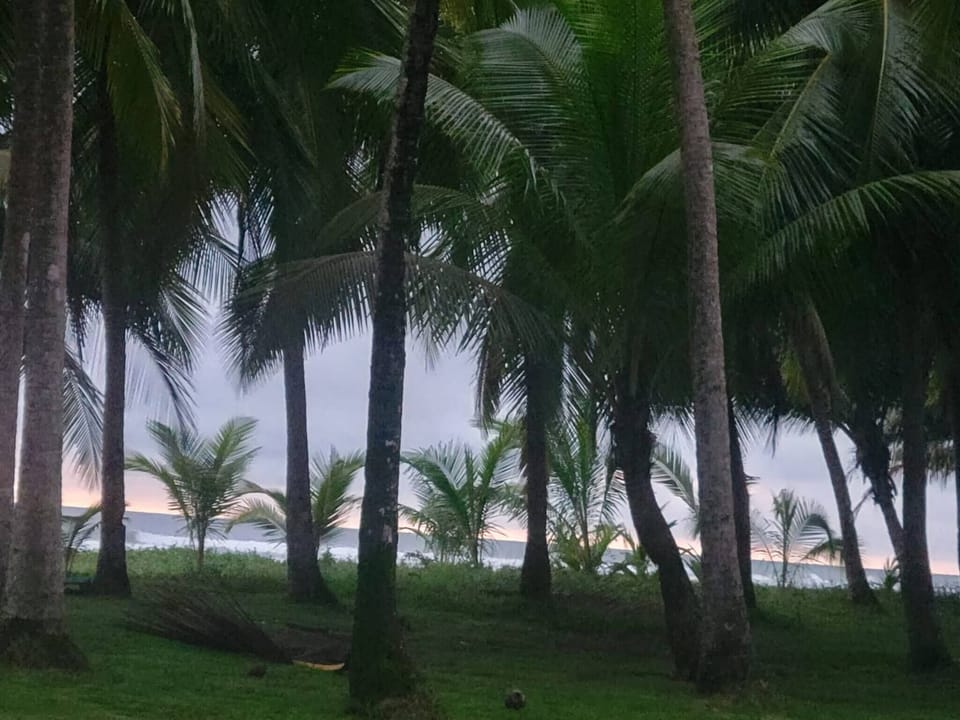 Miscellaneous