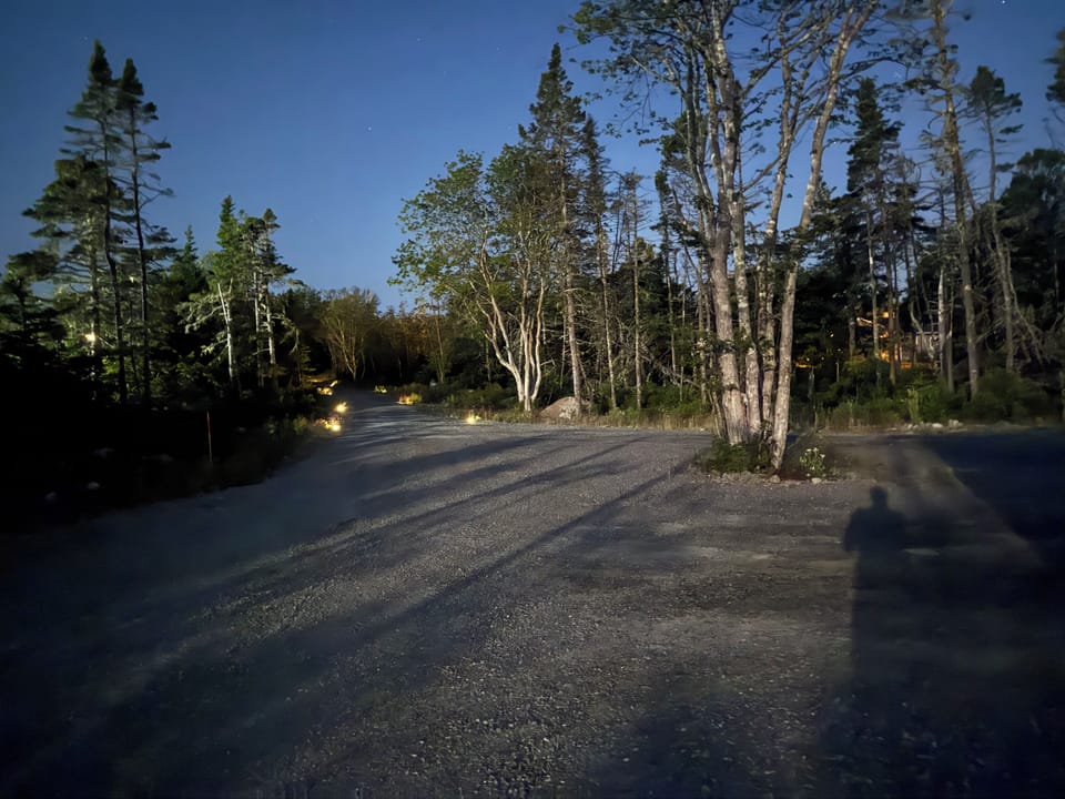 Driveway. The house sits 400 feet away from the main road. 