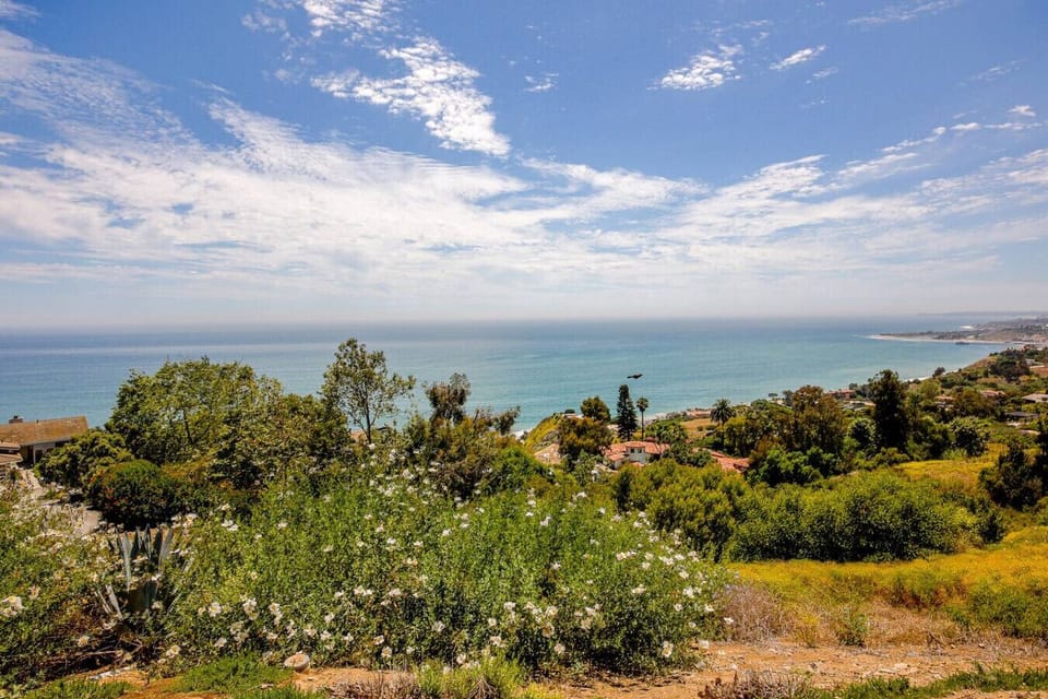 This is the view. Wildflowers, and endless blue sky just steps from your door.