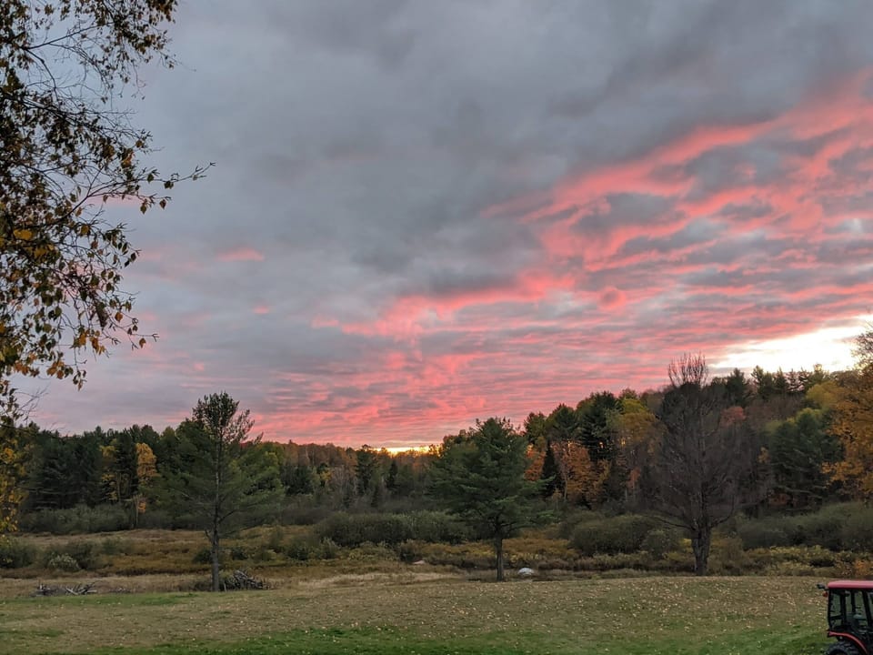 View from sunroom