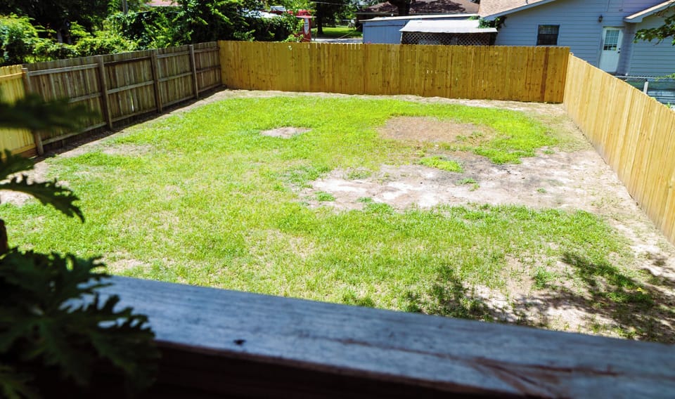 Spacious fenced backyard with plenty of room to relax or play