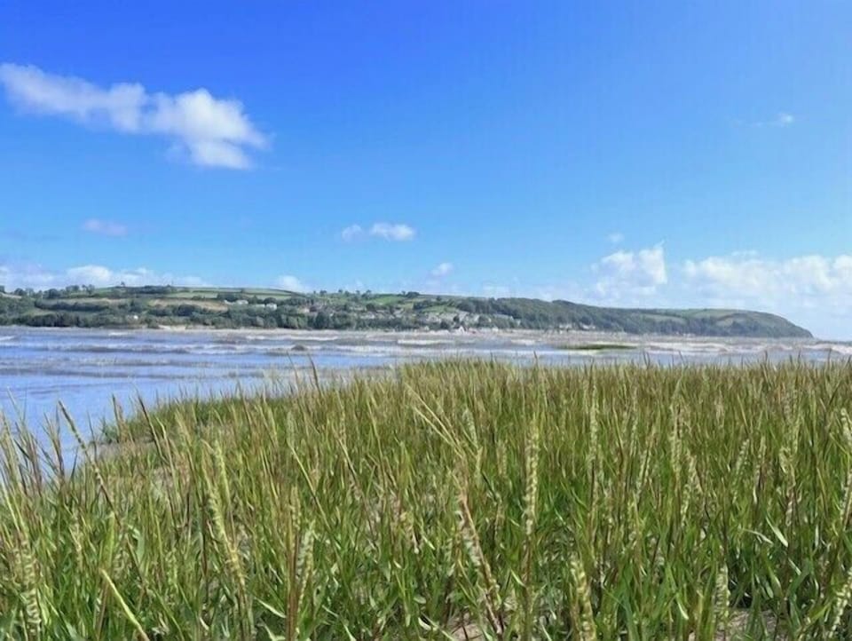 Image 15