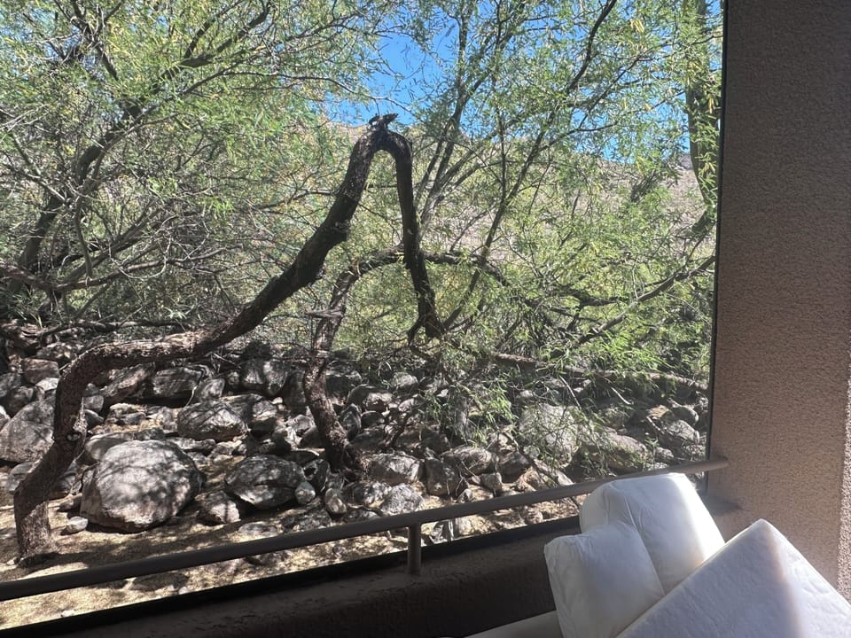 View from property