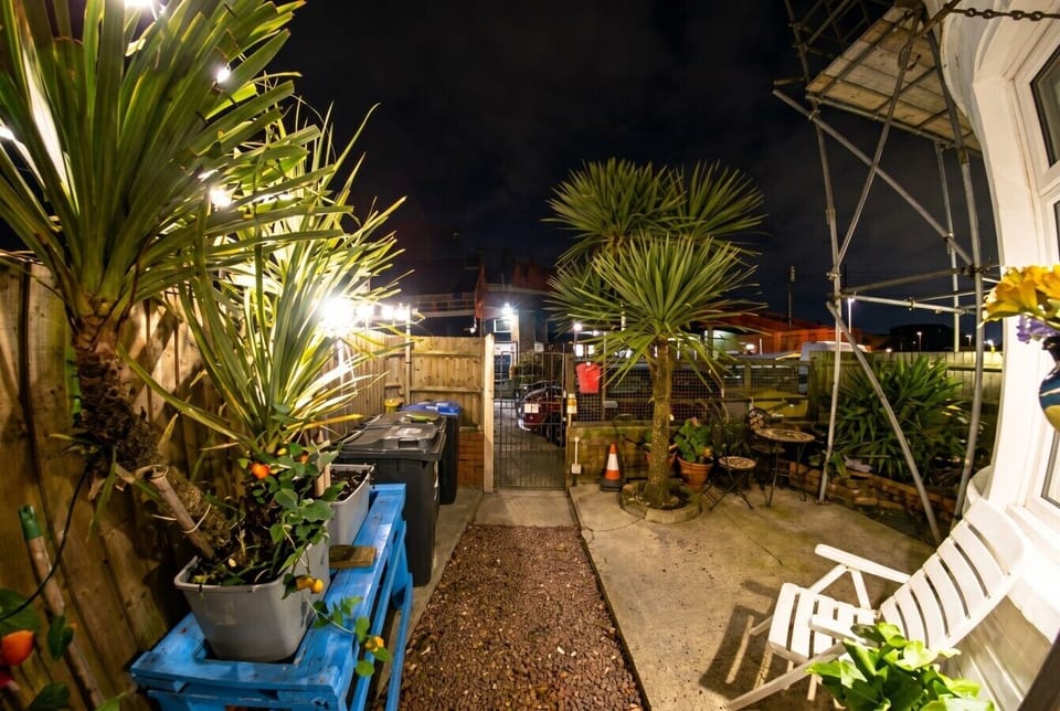A tropical garden lit up at night with palm trees and festoon lighting.
