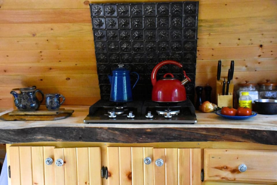 Hand-crafted live edge counter top made from a large white pine that was struck by lightning.  Four burner propane cook top for cooking.