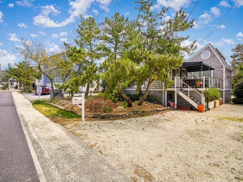 Driveway approach with mature trees framing the house — the sloping roofline and high windows are visible from here