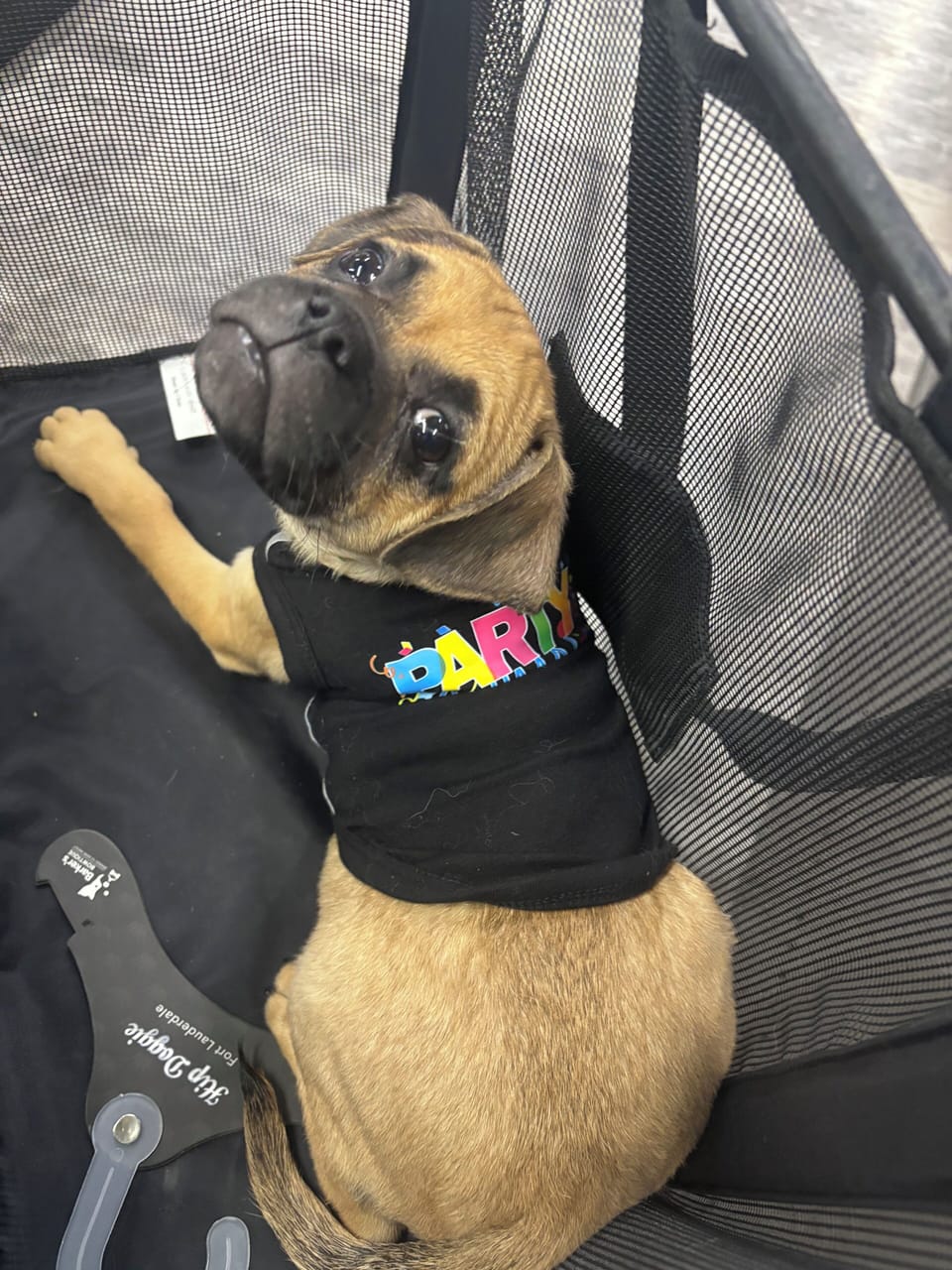 Pet-friendly