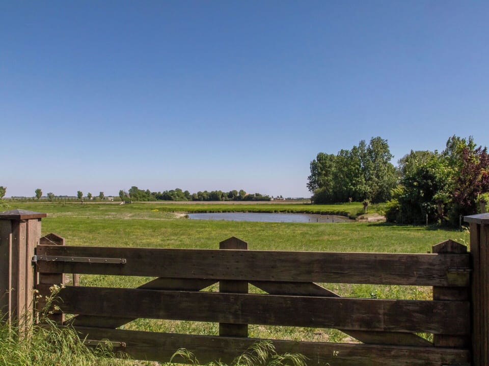 Green, Natural Landscape, Grassland, Plain, Land Lot, Fence, Rural Area, Meadow