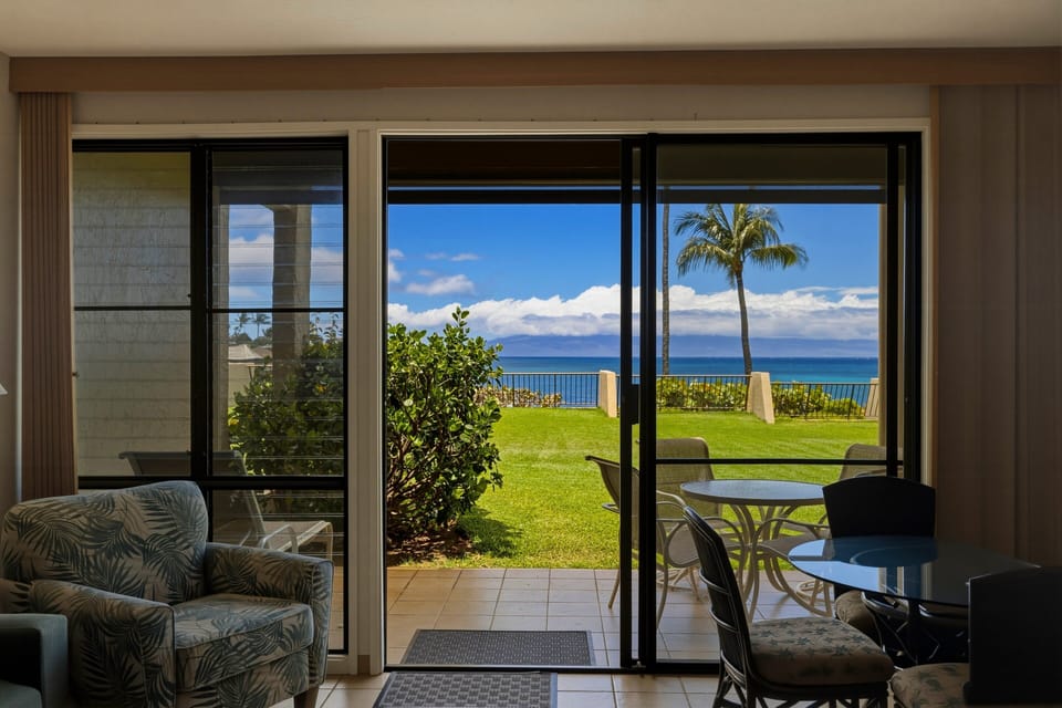 Window, Indoors, Chair, Furniture, Nature