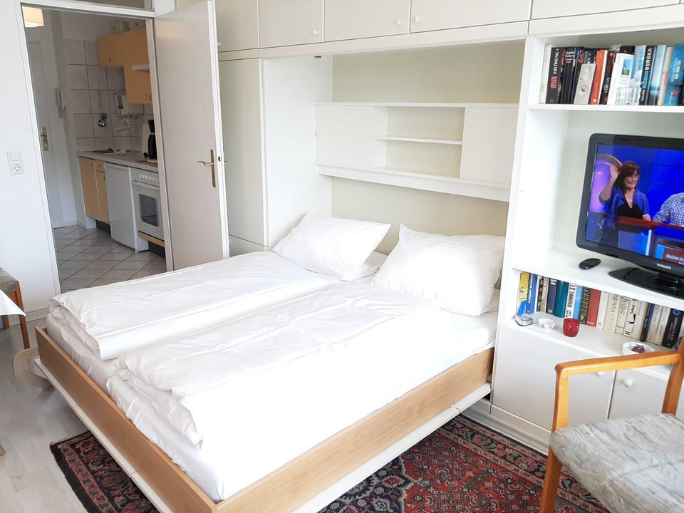 Living room with sleeping area and TV