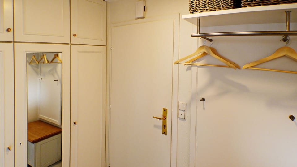 Entrance Area with Mirror and Coat Rack