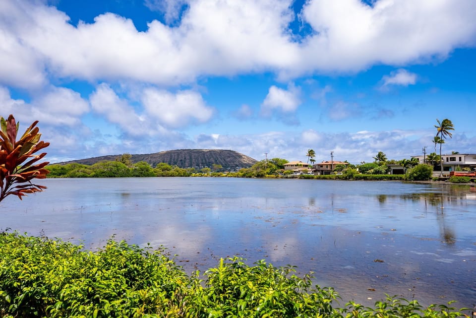 Calm lagoon puts you right in the heart of nature.