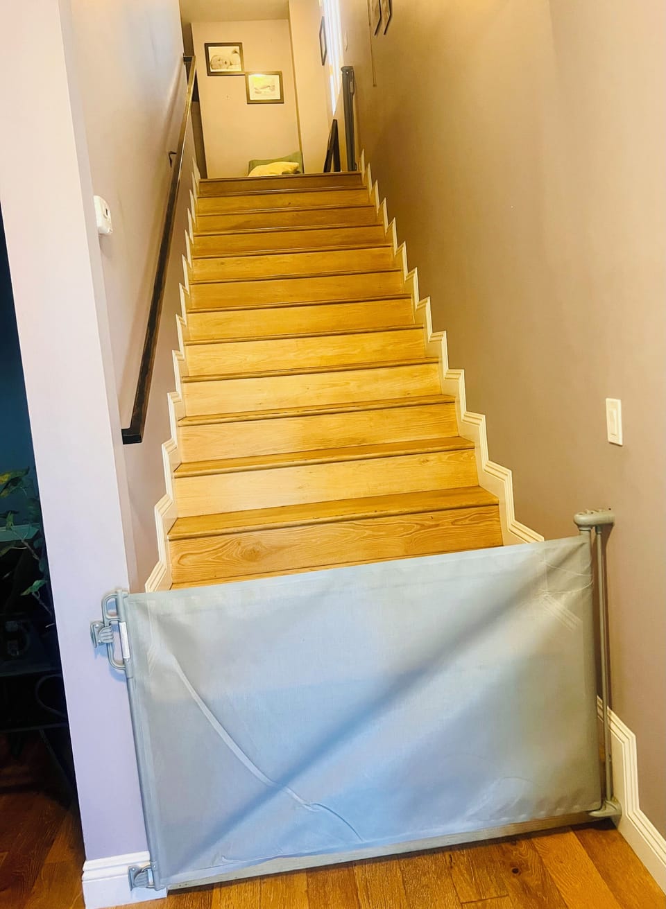 Bottom of Stairs (Retractable Covering)