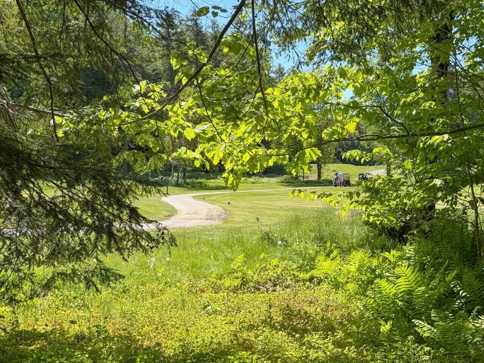 Enjoy the beautiful view of the 4th fairway.