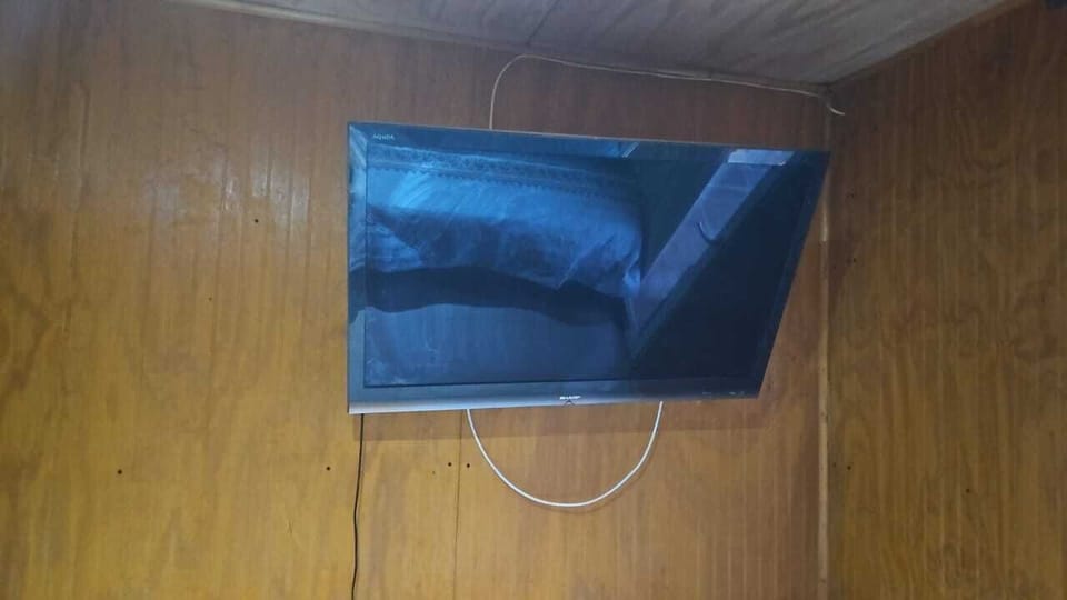 Television