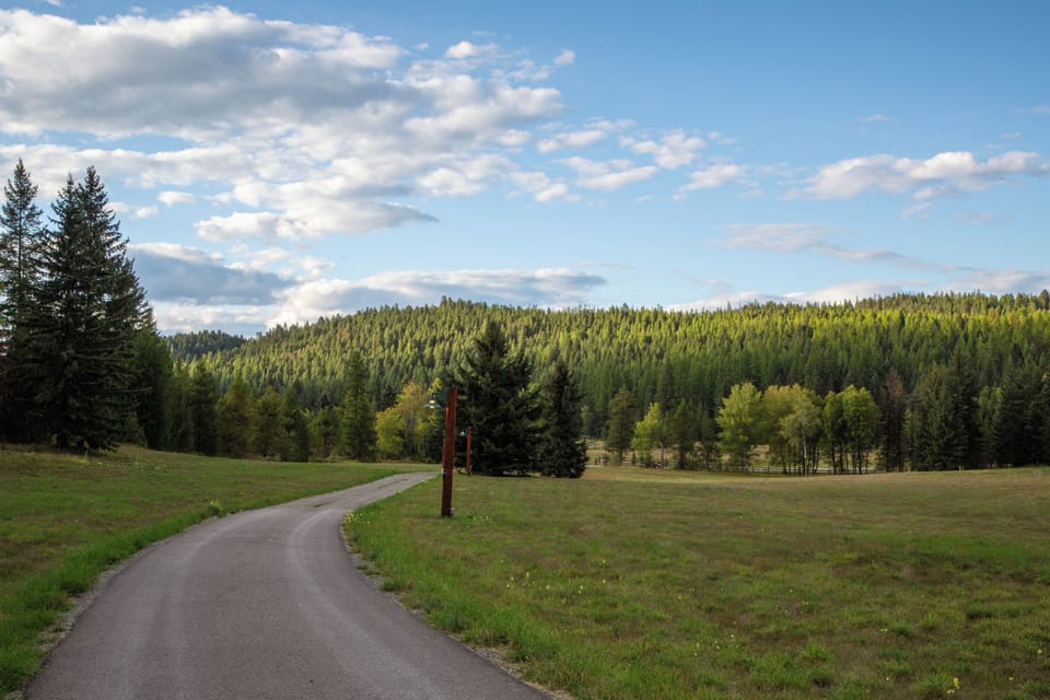 Scenic countryside road winds through rolling meadows toward dense forest hills under dramatic cloudy skies.