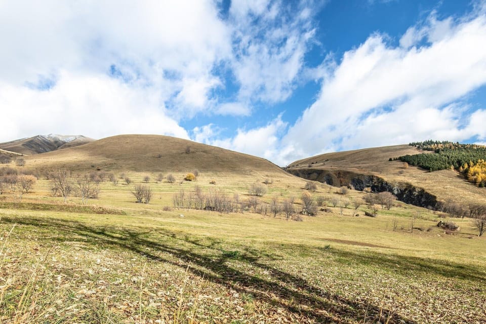 Immediate Surroundings [summer] (<1 km)