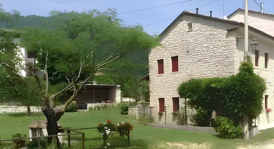 Building, House, Residential Area, Shrub, Home, Human Settlement, Cottage, Estate, Lawn, Garden