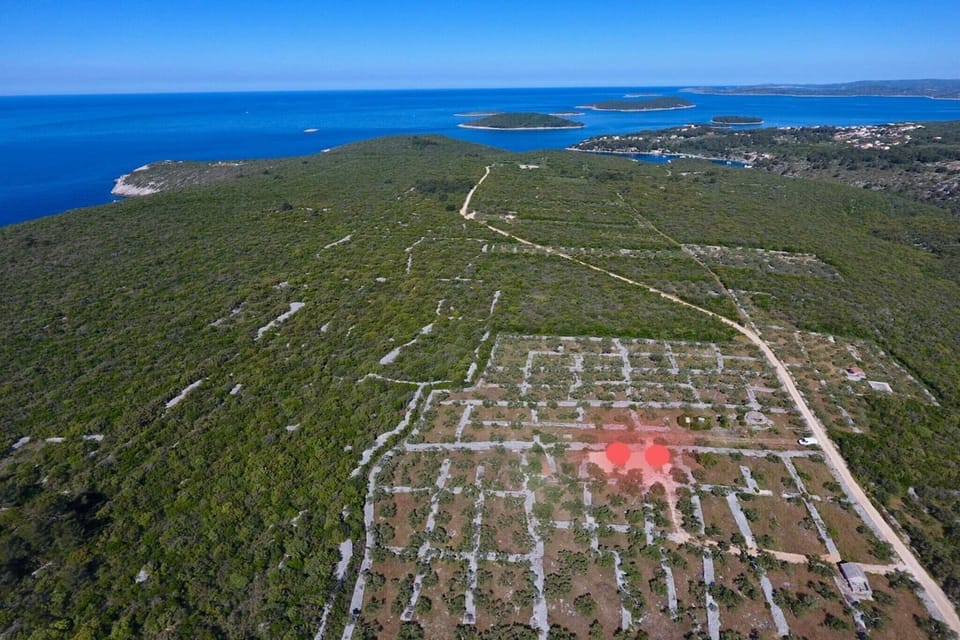 Immediate Surroundings [summer] (<1 km)