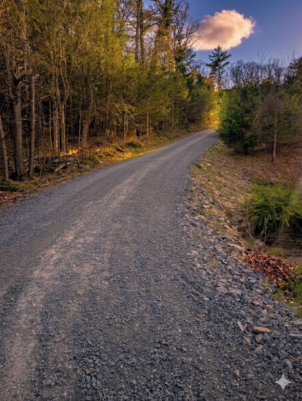 Steep but fully car-accessible driveway leading to the summit.