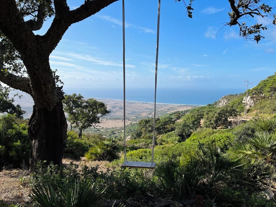 View from property