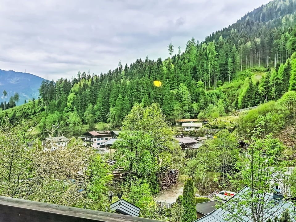 Tree, Mountainous Landforms, Green, Natural Environment, Nature, Vegetation, Mountain, Landscape, Highland, Hill