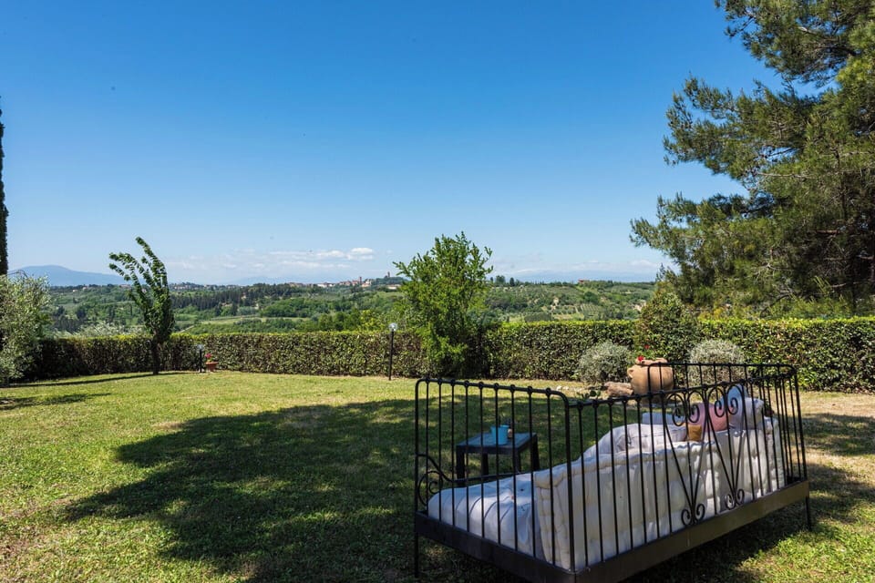 Landscape, Shrub, Land Lot, Garden, Lawn, Meadow, Outdoor Furniture, Landscaping, Shade, Backyard
