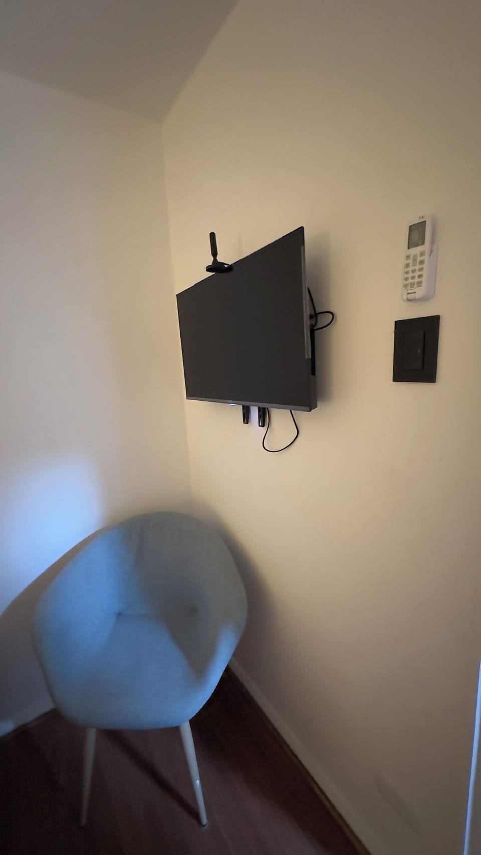 Television