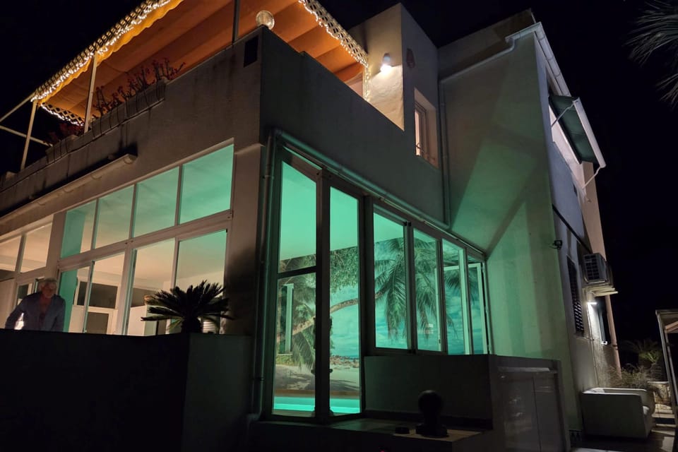 Casita Palmera XL - 2