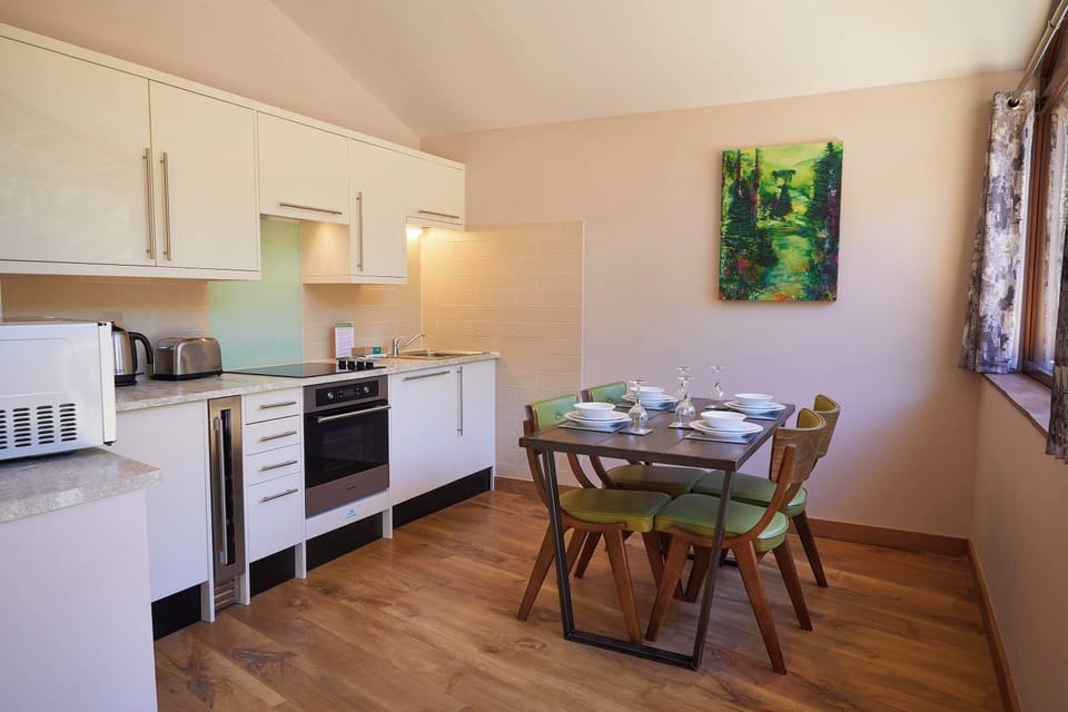 Beddgelert Silver Birch Secluded View - freshly inspired design