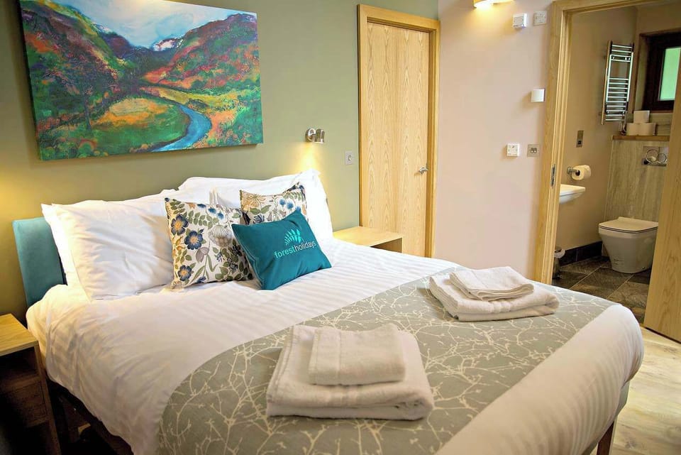 Beddgelert Silver Birch Secluded View - freshly inspired design