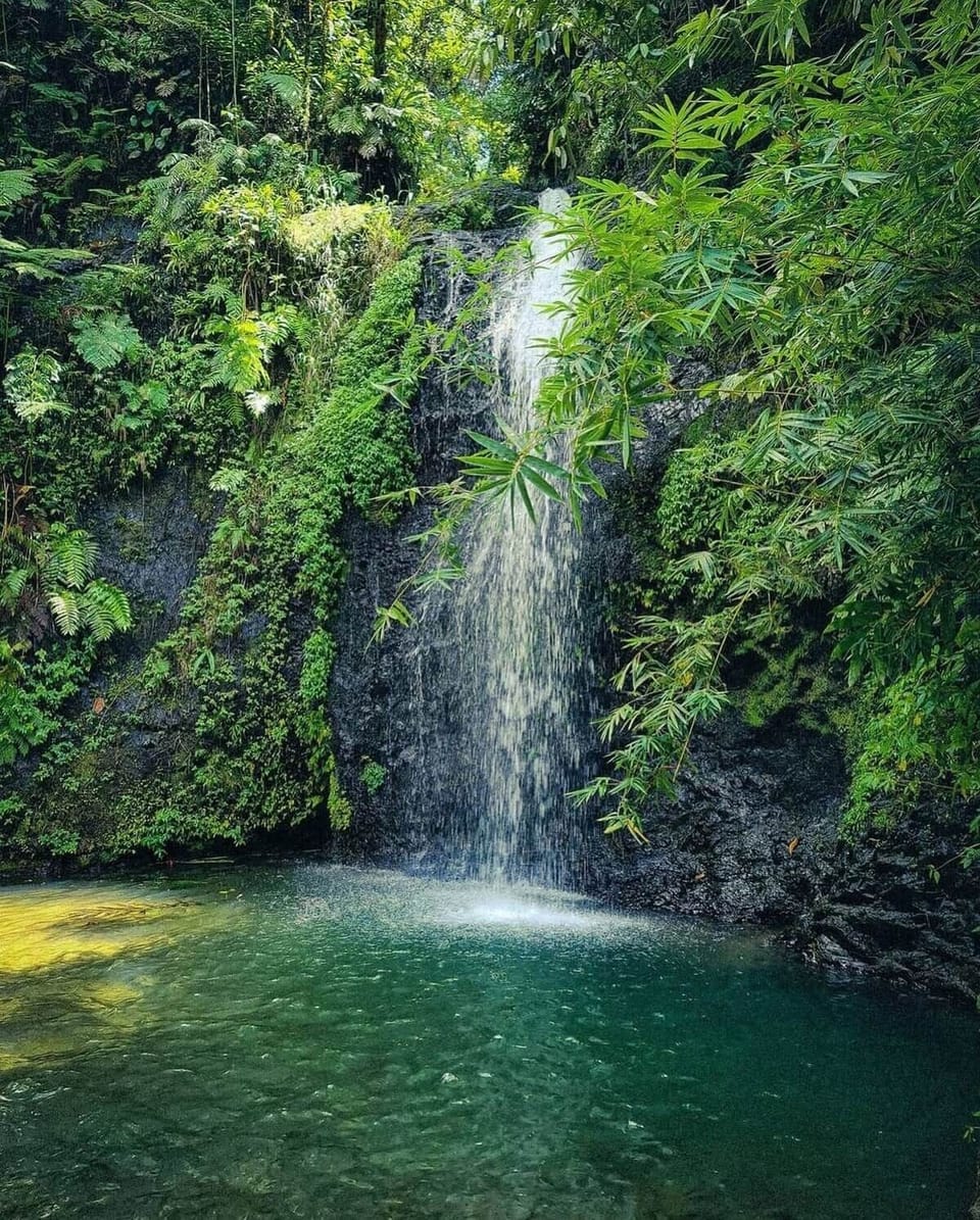La cascade Saut Gendarme, située au cœur de la forêt tropicale en Martinique, est un joyau naturel facilement accessible. Ce site enchanteur offre une chute d’eau rafraîchissante entour, idéale pour une pause sereine. À 15 min de votre logement ! 