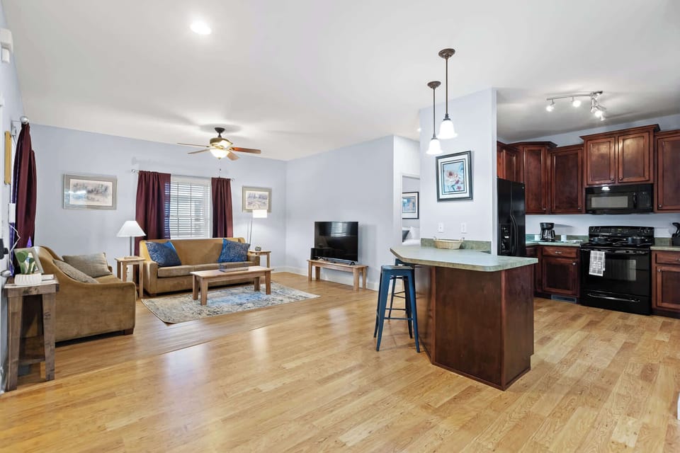 Kitchen and living room area 