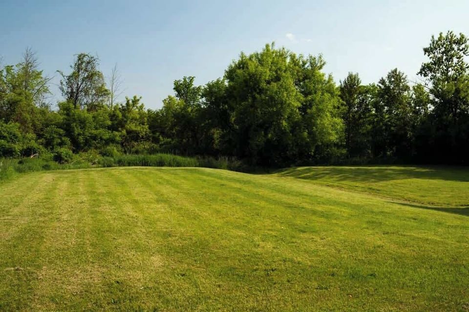 Backyard, plenty of space for games for the whole family! 