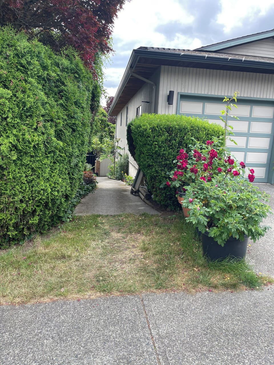 Property grounds