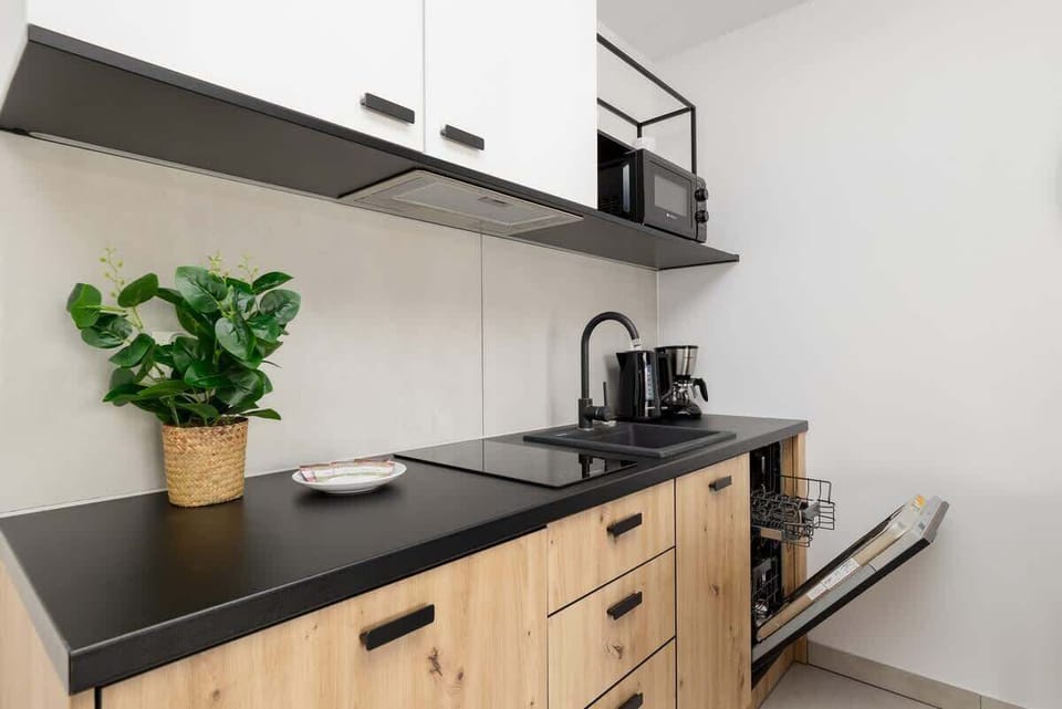 Modern kitchen area with wooden cabinets, black appliances, and a leafy green plant for decor.