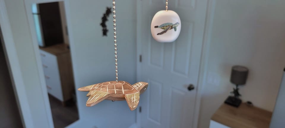 Bedroom #1 of 4. Ceramic turtle light chain pull.