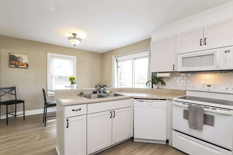 Kitchen dishwasher