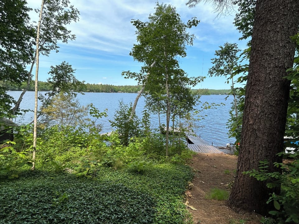 Path to Thomas Pond