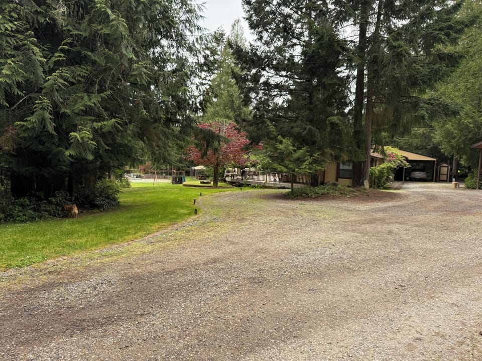 Looking to the right from RV deck, owners house behind circle tree patch 