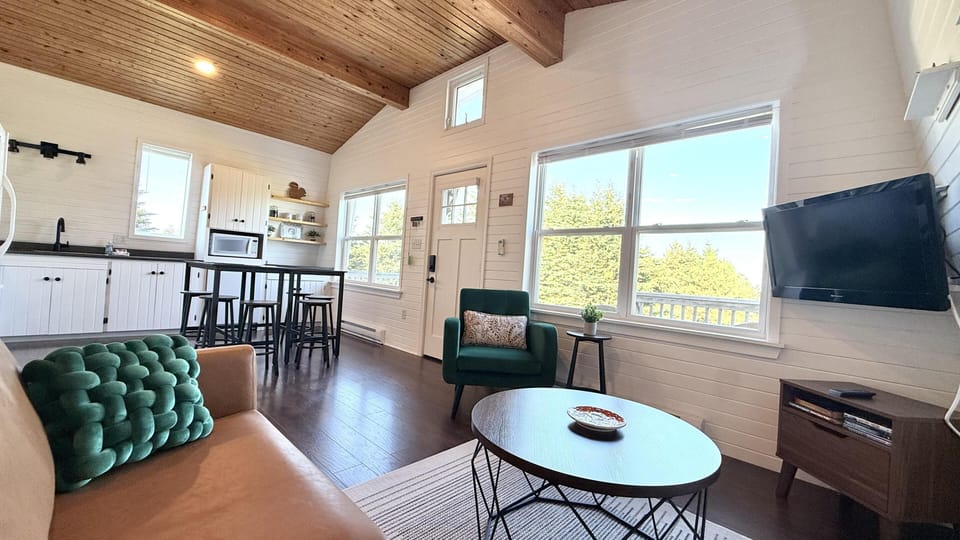 Living area with vaulted wood ceiling, white shiplap walls, dark hardwood floors, green armchair, and wall-mounted TV.