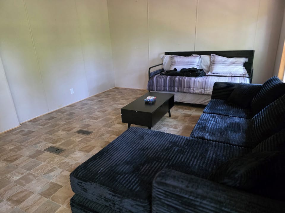 Living room with twin daybed and trundle for extra space. Tv and rug placed afte