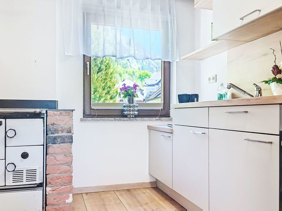 Kitchen Appliance, Interior Design, Flooring, Kitchen, Countertop, Wood, Major Appliance, Cabinetry, Furniture, Floor