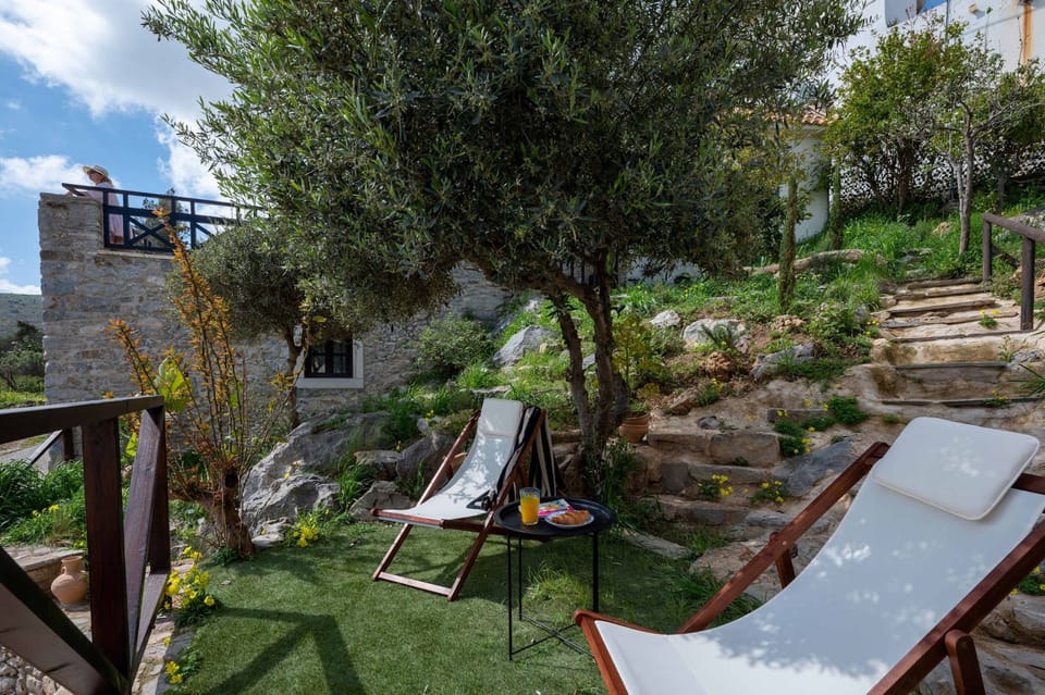 Sunchairs under the olive trees